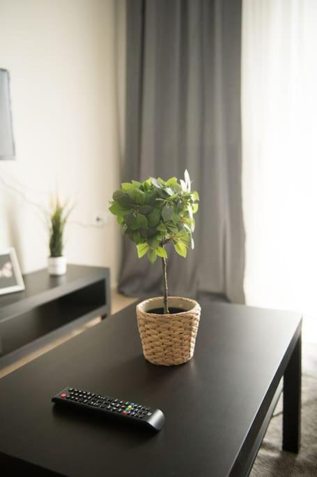 ניאה מודאניה Markopoulosapartments מראה חיצוני תמונה